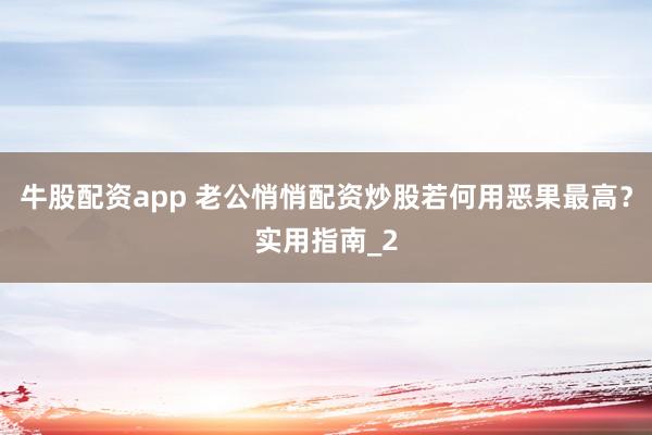牛股配资app 老公悄悄配资炒股若何用恶果最高？实用指南_2